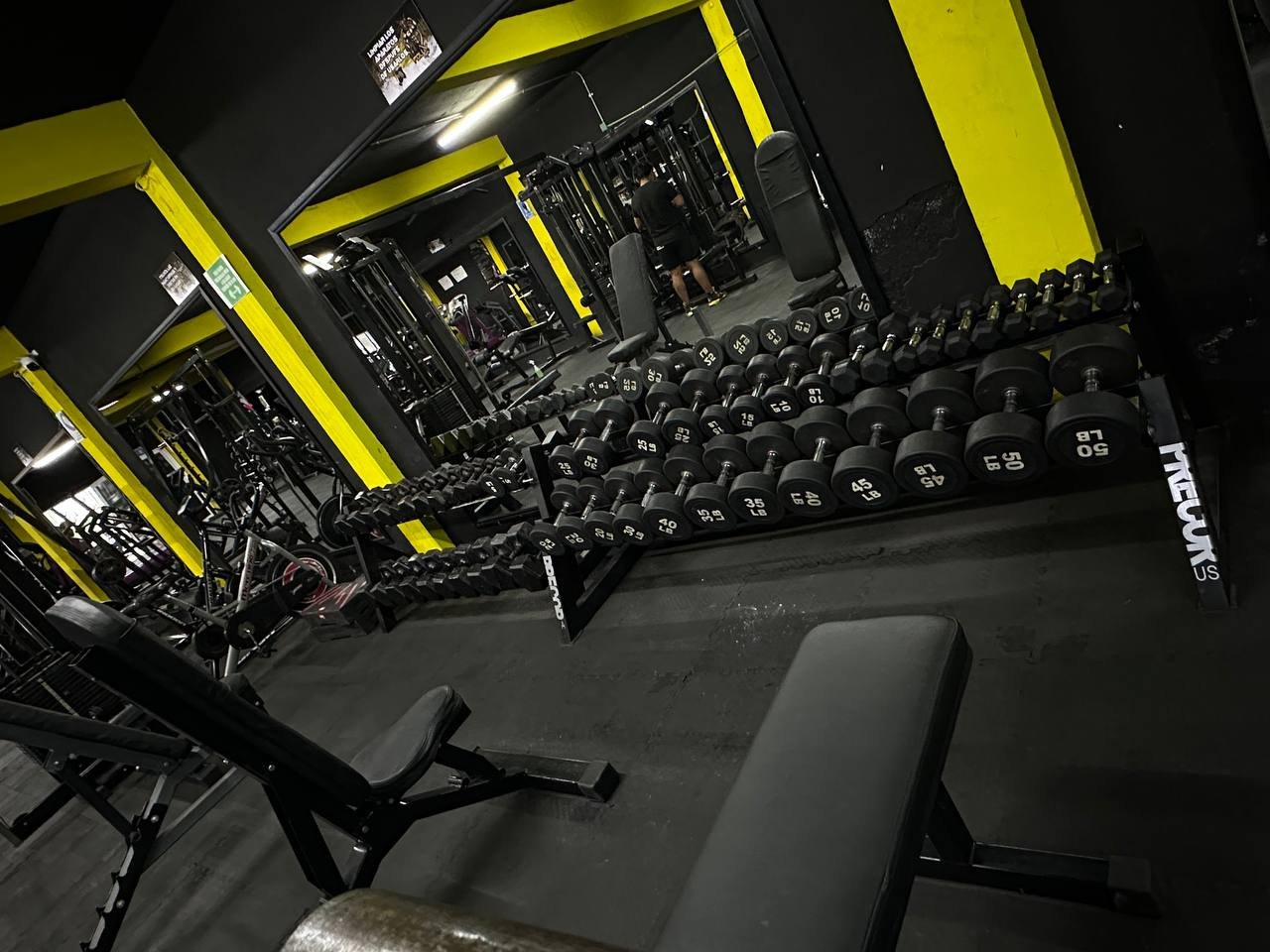 ENTRENA CON PROFESIONALES